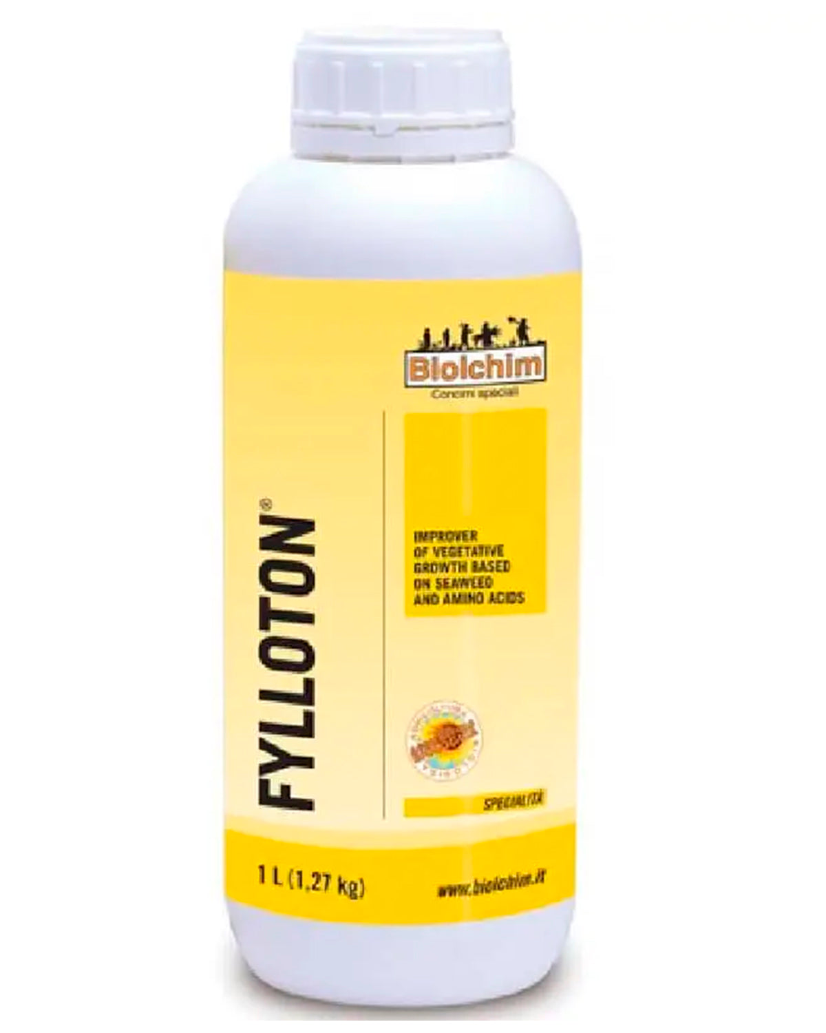 FYLLOTON