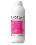 MERISTEM RAIZ