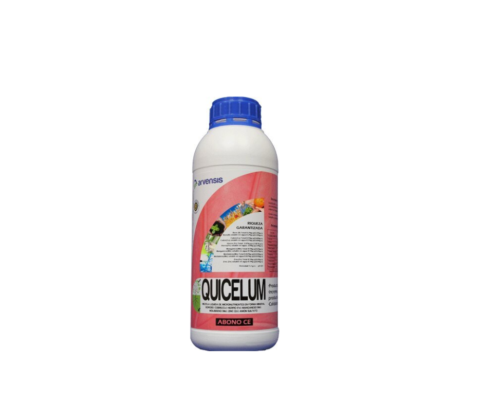 QUICELUM