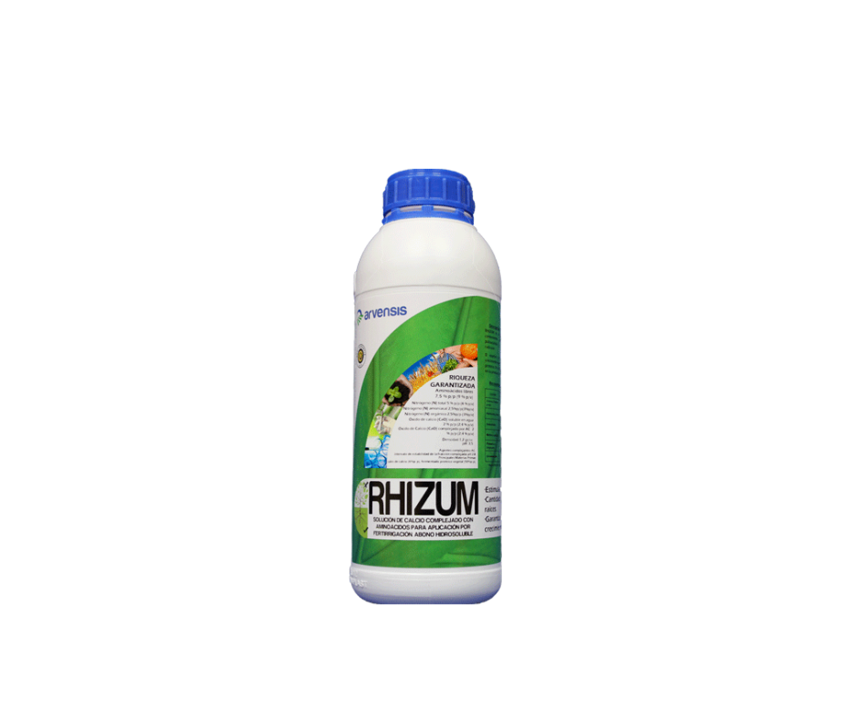 RHIZUM